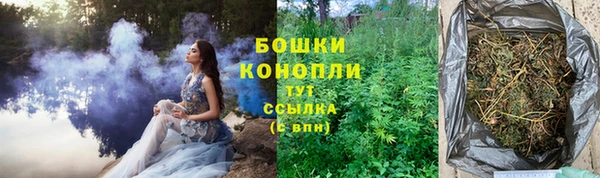 марки lsd Бородино