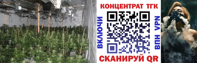 ТГК концентрат  Нерюнгри 