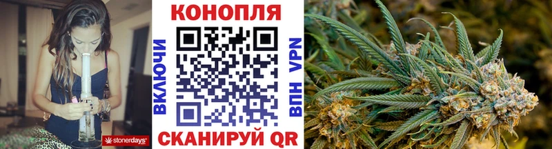 Бошки марихуана конопля  что такое   Нерюнгри 
